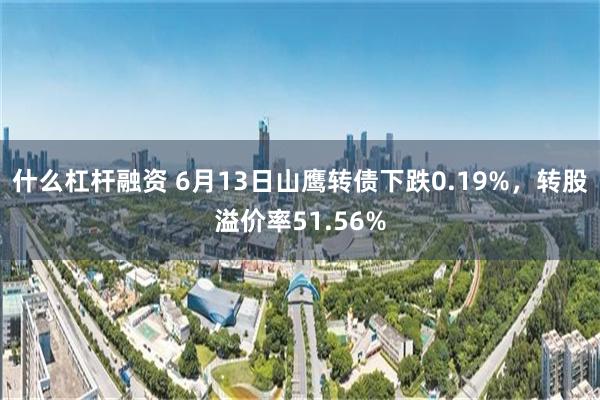 什么杠杆融资 6月13日山鹰转债下跌0.19%，转股溢价率51.56%