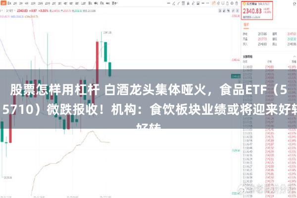 股票怎样用杠杆 白酒龙头集体哑火，食品ETF（515710）微跌报收！机构：食饮板块业绩或将迎来好转