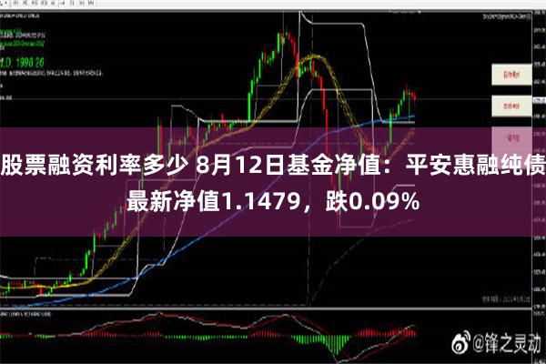 股票融资利率多少 8月12日基金净值：平安惠融纯债最新净值1.1479，跌0.09%