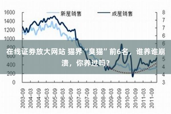 在线证劵放大网站 猫界“臭猫”前6名，谁养谁崩溃，你养过吗？