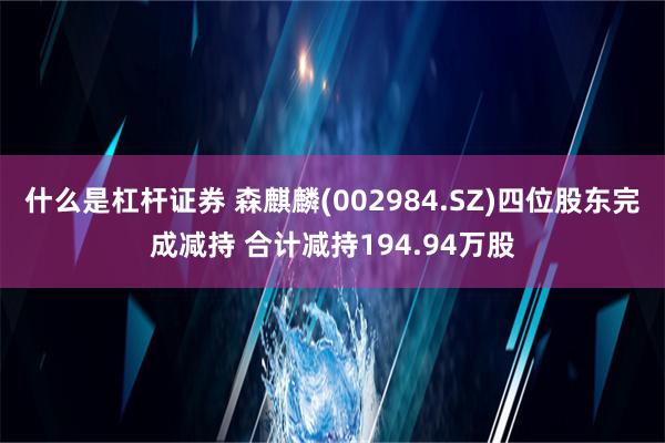 什么是杠杆证券 森麒麟(002984.SZ)四位股东完成减持 合计减持194.94万股