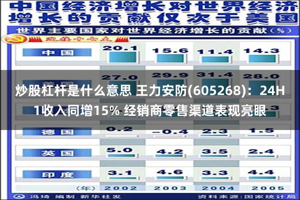 炒股杠杆是什么意思 王力安防(605268)：24H1收入同增15% 经销商零售渠道表现亮眼