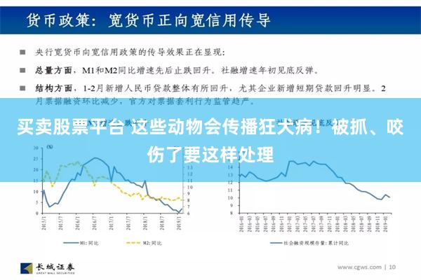 买卖股票平台 这些动物会传播狂犬病！被抓、咬伤了要这样处理