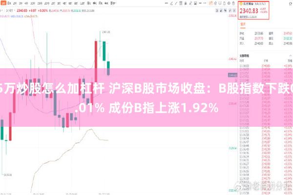 5万炒股怎么加杠杆 沪深B股市场收盘：B股指数下跌0.01% 成份B指上涨1.92%