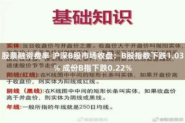 股票融资费率 沪深B股市场收盘：B股指数下跌1.03% 成份B指下跌0.22%