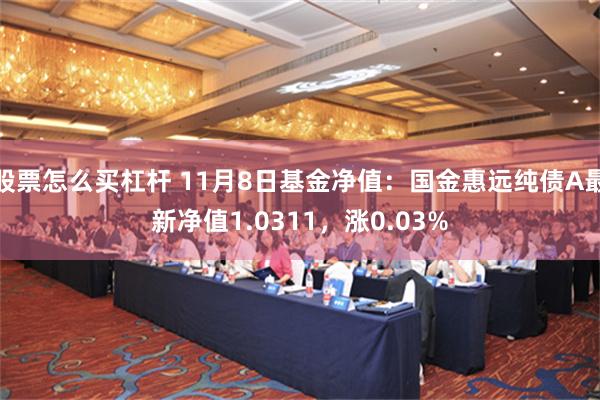 股票怎么买杠杆 11月8日基金净值：国金惠远纯债A最新净值1.0311，涨0.03%